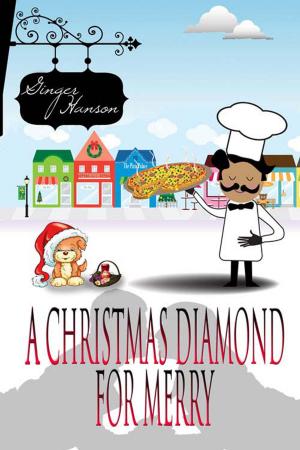 Cover of the book A Christmas Diamond for Merry by Pam  Binder