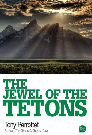Cover of the book The Jewel of the Tetons by J.H. Plumb