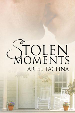 Cover of the book Stolen Moments by Pamela Beason