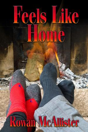 Cover of the book Feels Like Home by J.P. Barnaby