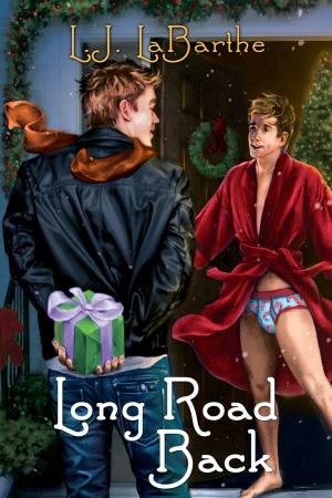 Cover of the book Long Road Back by J.R. Loveless
