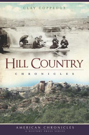 Cover of the book Hill Country Chronicles by David Lavender
