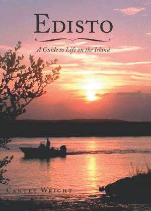 Cover of the book Edisto by Cormac Strain