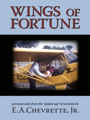Cover of the book Wings of Fortune by David Vozzy