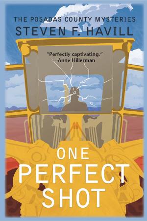 Cover of the book One Perfect Shot by Karen Rolcik