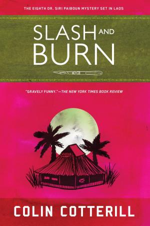 Cover of the book Slash and Burn by Dan Josefson