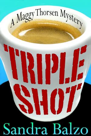 Cover of the book Triple Shot by Amanda Bonilla