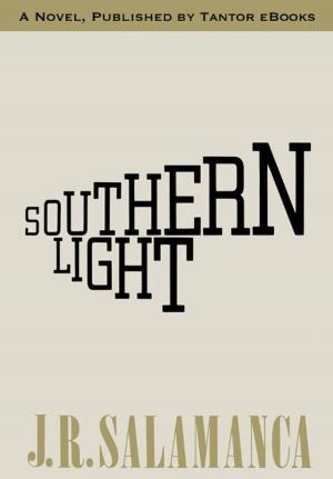 Book cover of Southern Light
