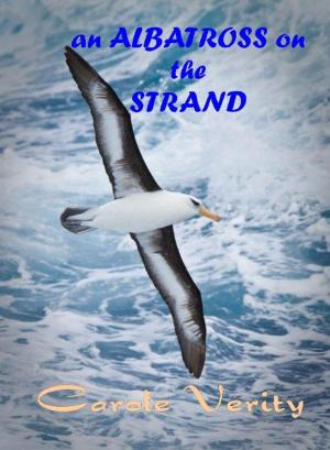 Cover of the book An Albatross on the Strand by Stasia Huth-Fretz