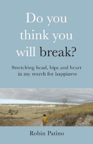 Cover of the book Do You Think You Will Break? by Larry Senn, Jim Hart