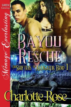 Cover of the book Bayou Rescue by Stormy Glenn, Lynn Hagen