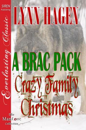 Cover of the book A Brac Pack Crazy Family Christmas by Lynn Hagen, Stormy Glenn