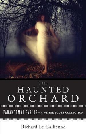 Book cover of The Haunted Orchard