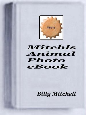 bigCover of the book Mitchls Animal Photo Book by 