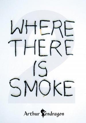 Cover of the book Where There is Smoke 2 by Piper Punches
