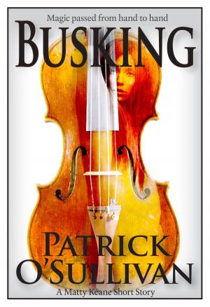 Book cover of Busking