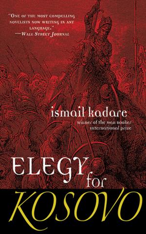 Cover of the book Elegy for Kosovo by Natalie David-Weill