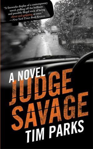 Book cover of Judge Savage