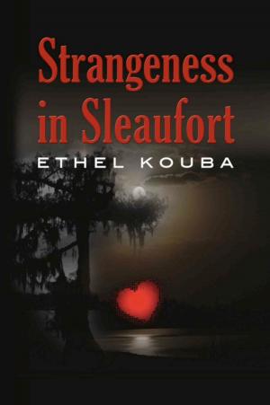 bigCover of the book Strangeness in Sleaufort by 