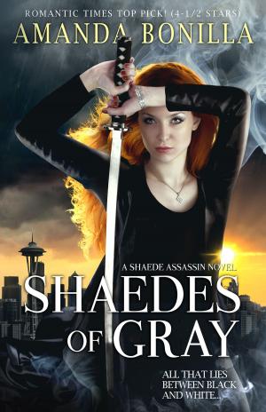 Cover of the book Shaedes of Gray by Sandi Kahn Shelton