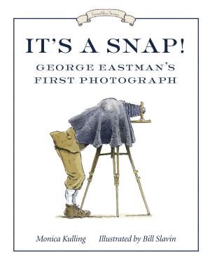 Book cover of It's a Snap!