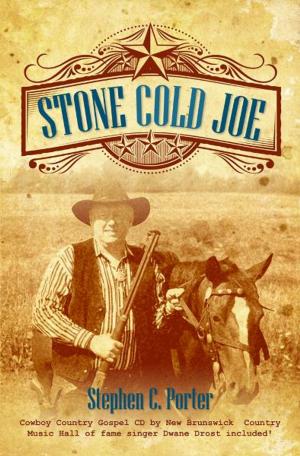 Book cover of Stone Cold Joe