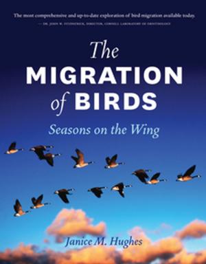 Cover of the book The Migration of Birds by Sue Carstairs