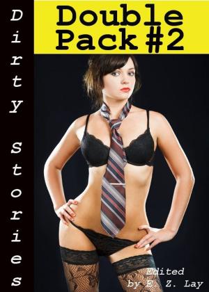 Cover of Dirty Stories: Double Pack #2, Erotic Tales