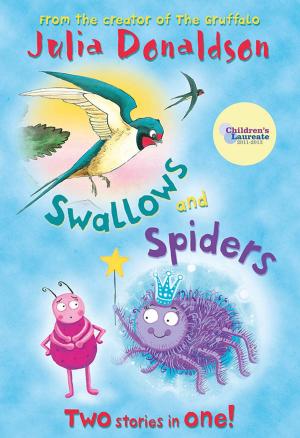Cover of the book Swallows and Spiders by Andy Stanton