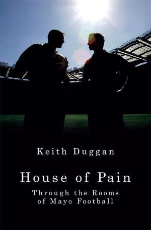 Cover of the book House of Pain by Jan de Vries