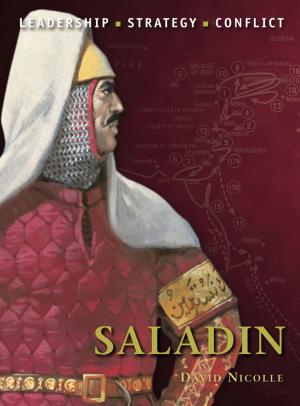 Cover of the book Saladin by Vesta Sarkhosh Curtis, Sarah Stewart