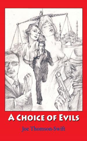 Cover of the book A Choice of Evils by James Fogel