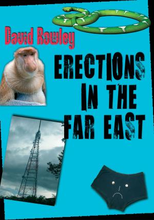 Cover of Erections in the Far East