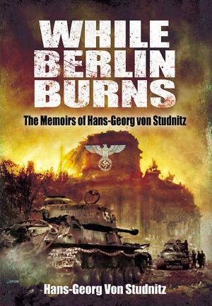 Cover of While Berlin Burns