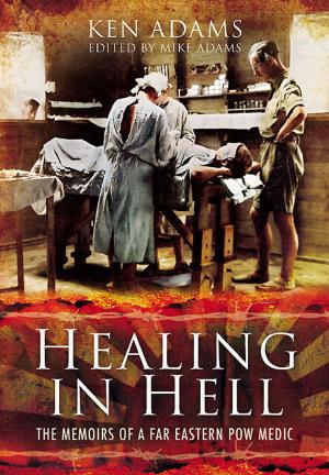 Book cover of Healing in Hell