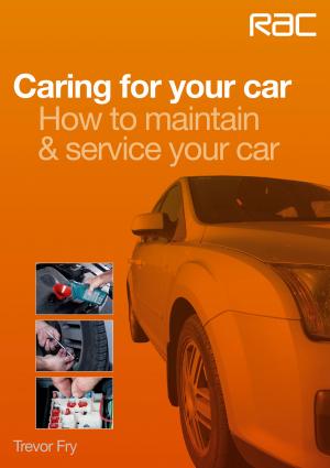 Cover of the book Caring for your car by Christopher Hilton