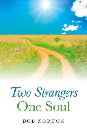 Cover of the book Two Strangers - One Soul by Robert K. c. Forman