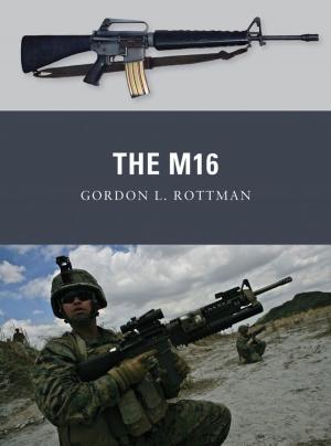 Book cover of The M16