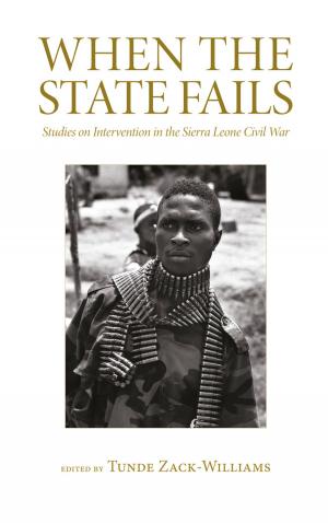 Cover of the book When the State Fails by John Cooley