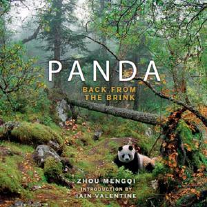 Cover of the book Panda: Back from the Brink by Kenny Kemp, Graham Lironi, Peter Shakeshaft