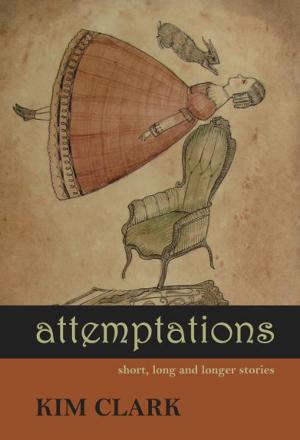 Cover of the book Attemptations by Derrick Stacey Denholm