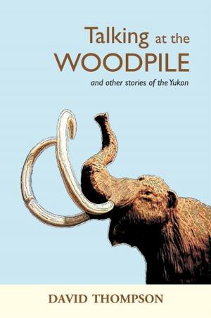 Book cover of Talking at the Woodpile