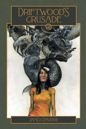 Cover of the book Driftwood's Crusade by Hayley Shephard