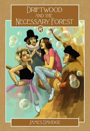 Cover of the book Driftwood and the Necessary Forest by Ashis Gupta