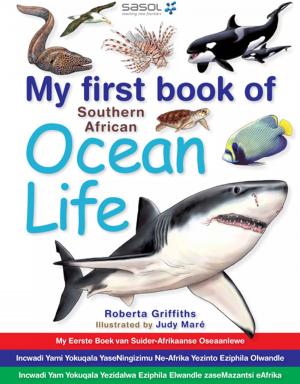 Cover of the book My first book of Southern African Ocean Life by Martha Evans