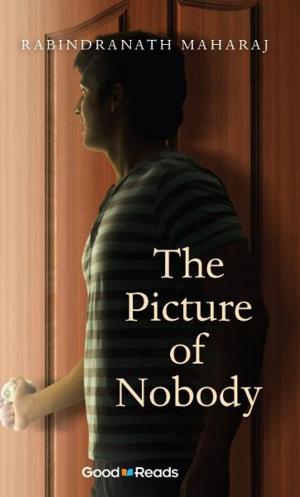 Cover of the book The Picture of Nobody by Brenda Chapman