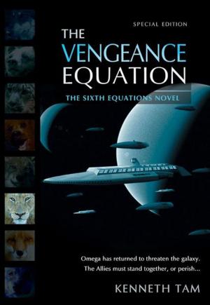 Cover of the book The Vengeance Equation by Anita Parker