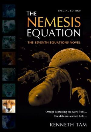 Cover of the book The Nemesis Equation by M Todd Gallowglas
