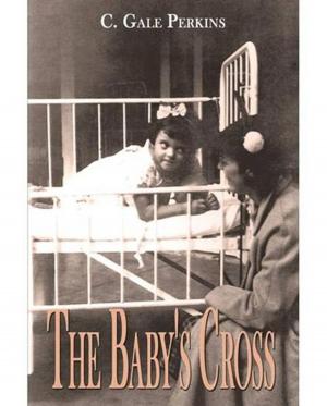 Cover of the book The Babys Cross: A Tuberculosis Survivors Memoir by Bonnie Kaye, Doug Dittmer