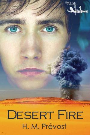 Cover of the book Desert Fire by J. D. Waye
